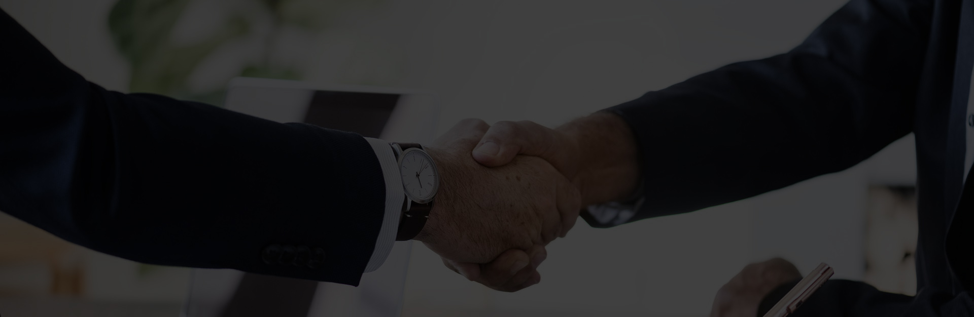 Business bulk email database service overview